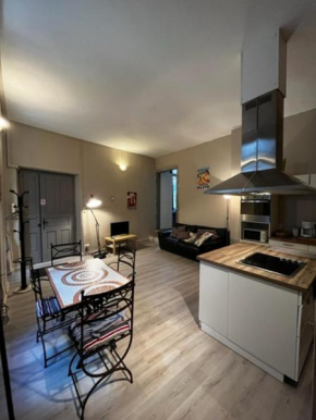 COSY House T3 City Center, Museum, Place Carnot